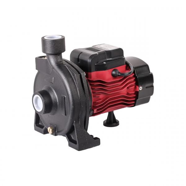 Qochma markaz nasosi EVN-146-3 (600Vt)